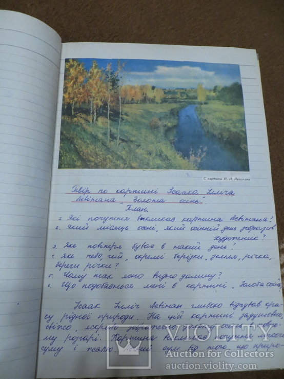 Классный журнал 1950 х годов.школьные сочинения на укр.языке., фото №5