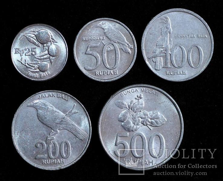 Набор монет Индонезии ( 5 шт ), фото №2