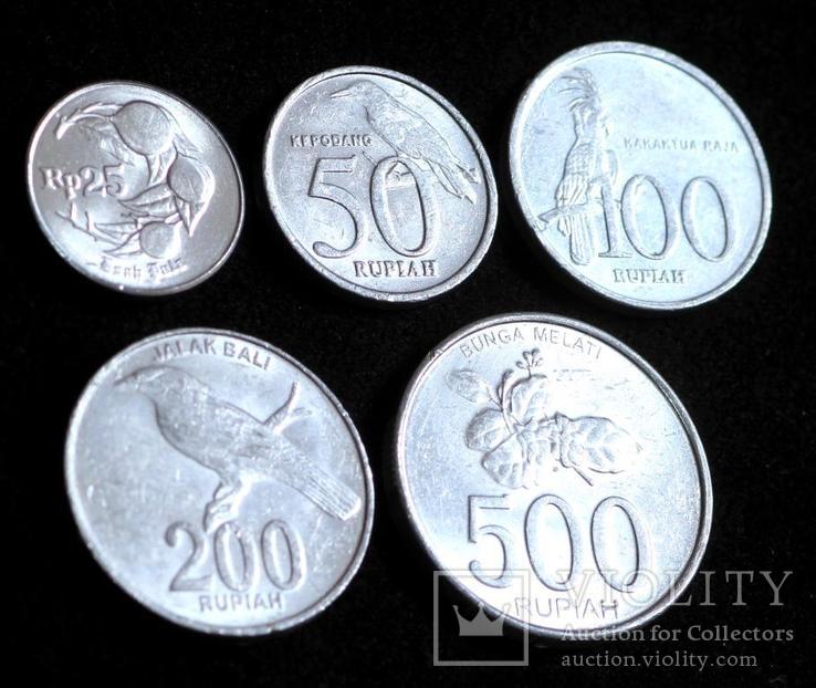 Набор монет Индонезии ( 5 шт ), фото №3