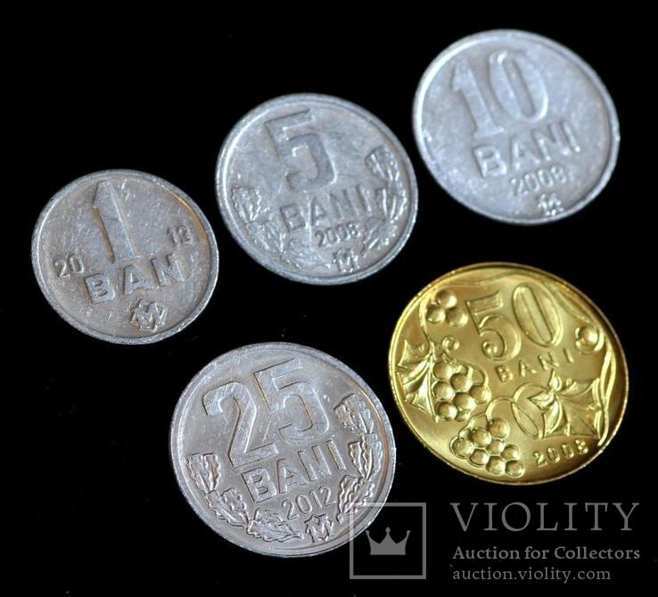Набор монет Молдавии ( 5 шт ), фото №3