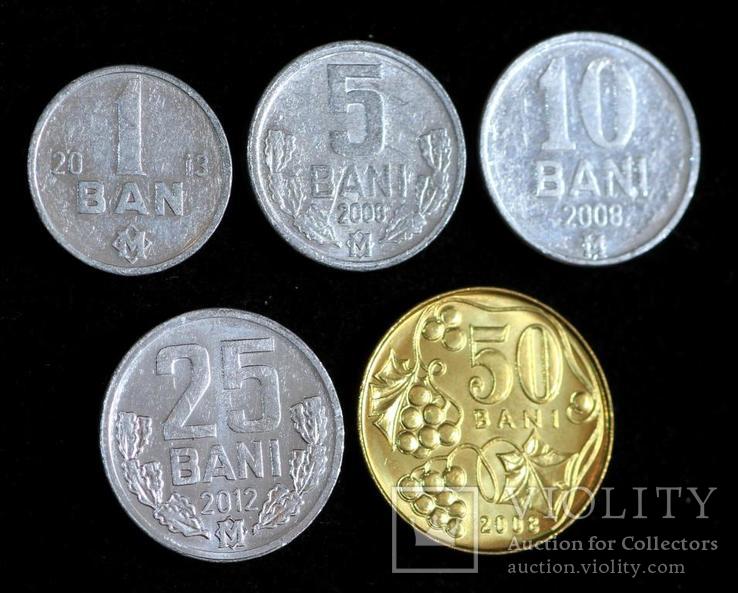 Набор монет Молдавии ( 5 шт ), фото №2