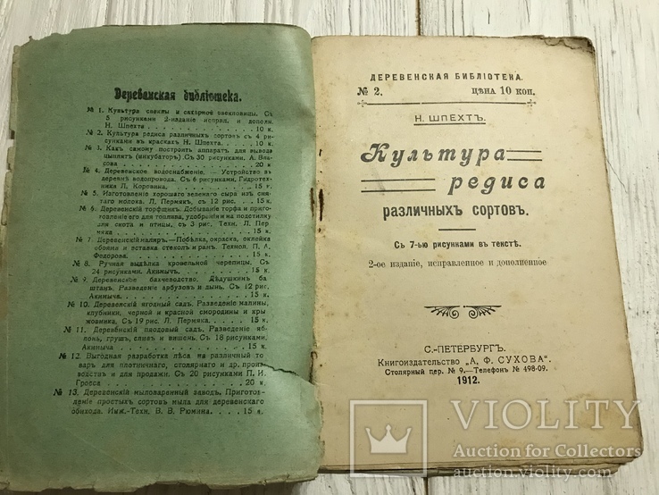 1912 Культура редиса различных сортов, фото №4