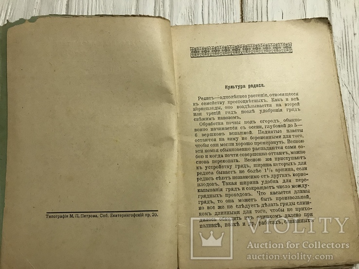 1912 Культура редиса различных сортов, фото №10