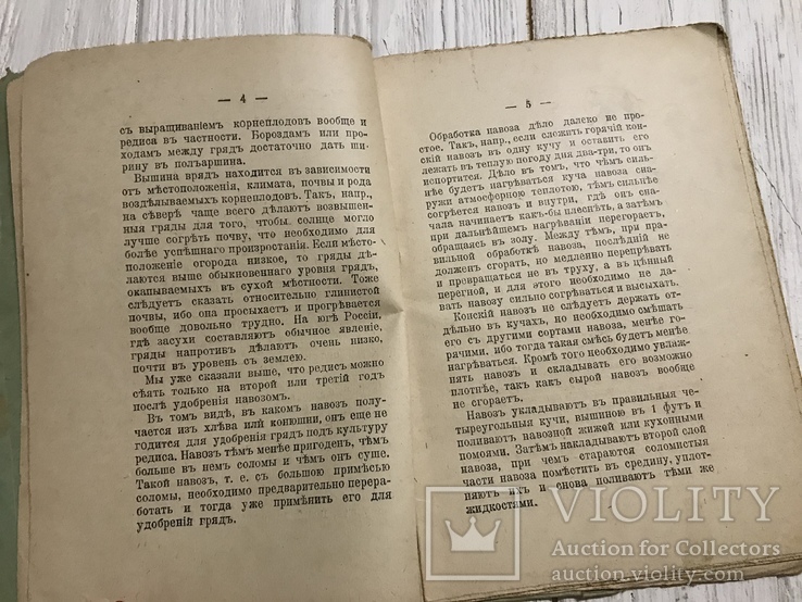 1912 Культура редиса различных сортов, фото №11