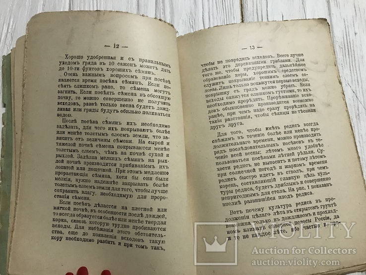 1912 Культура редиса различных сортов, фото №12