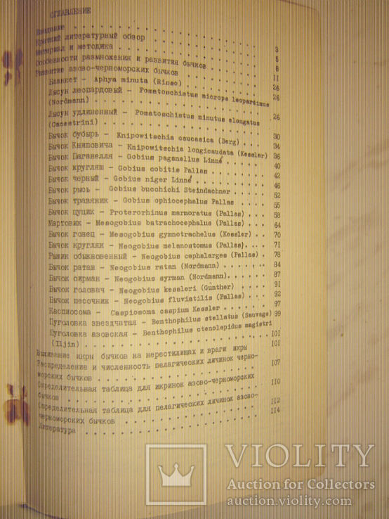 Размножение и развитие азово-черноморских бычков., фото №6