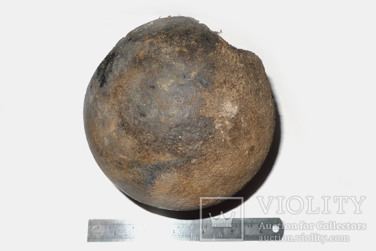 Головка стегнової кістки мамута (мамонта) четвертинного періоду, фото №9