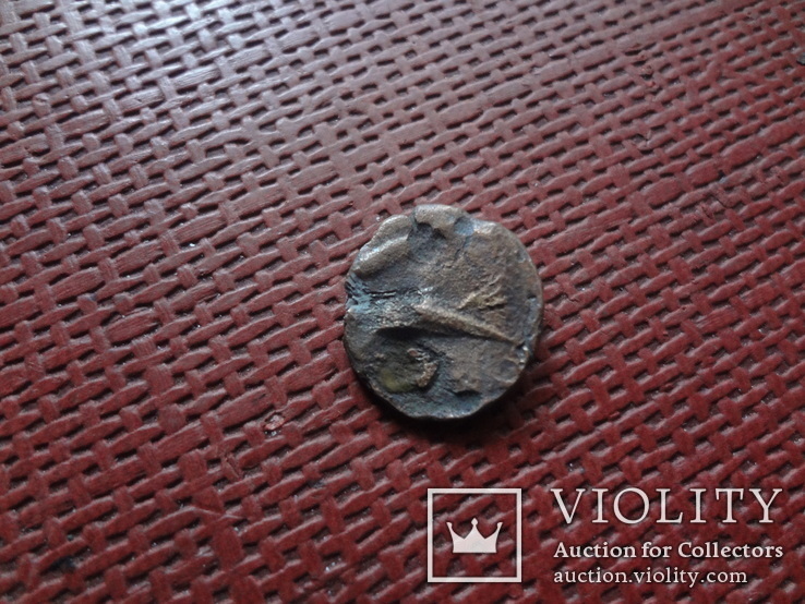 Монета Ольвии   (8.3.11)~, фото №4