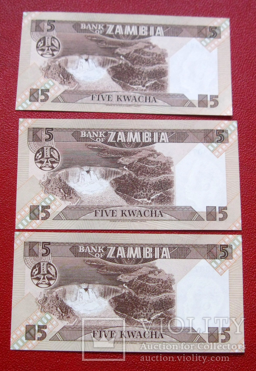 5 квача (3 шт.) UNC Замбия, фото №3