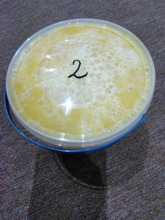 Мёд.Разнотравье с подсолнухом.3.3л.(4.5-4.7кг.) №2., фото №2