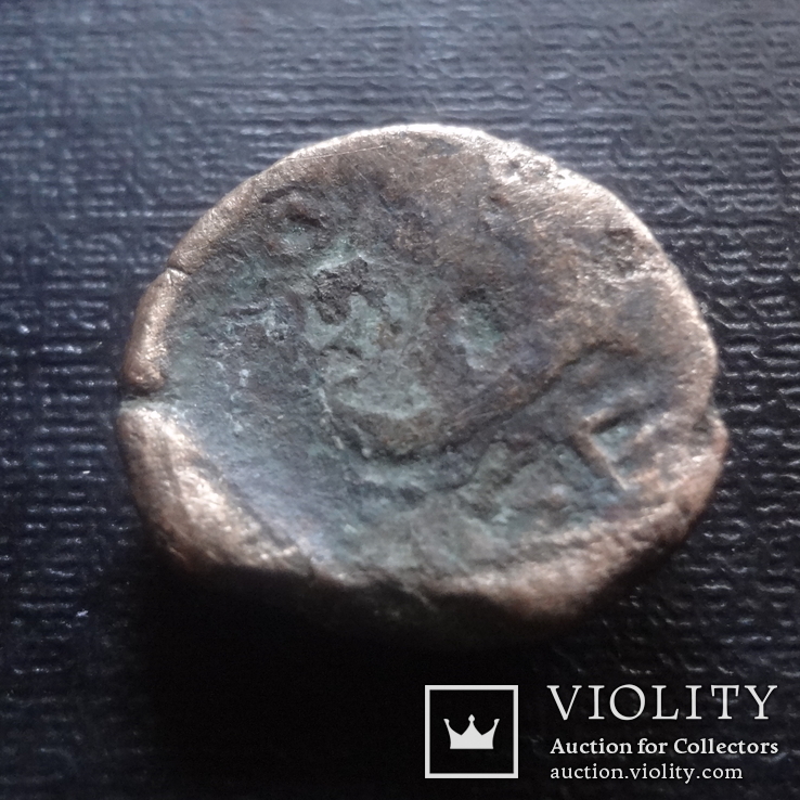 Монета Ольвии    (К.7.18)~, фото №3