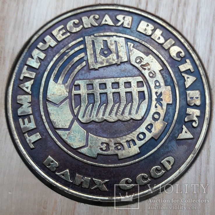 Медаль Тематическая выставка ВДНХ СССР Запорожье 1979