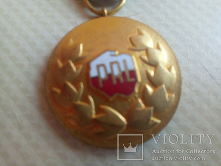 Медаль "Заслуженный работник", фото №3
