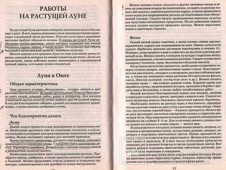 Самый подробный лунный посевной календарь на каждый день.2012 г., фото №6