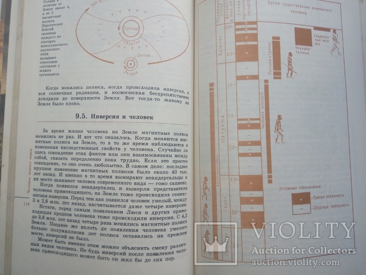 Г.Н.Матюшин Три миллиона лет до нашей эры, Москва, 1986, фото №4