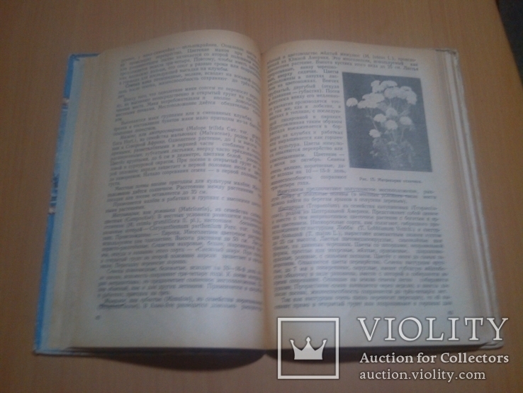  тир. 10000 Цветоводство  1954 год, фото №9