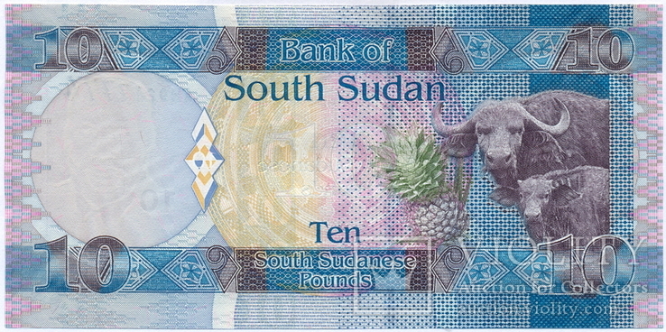 Южный Судан 10 фунтов 2011 г. / Pick-7 / UNC, фото №3