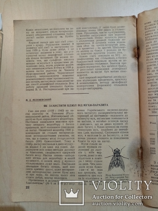 Колгоспне Блжільництво Пчеловодство 1941 год № 5. 1937 г. № 4, фото №10