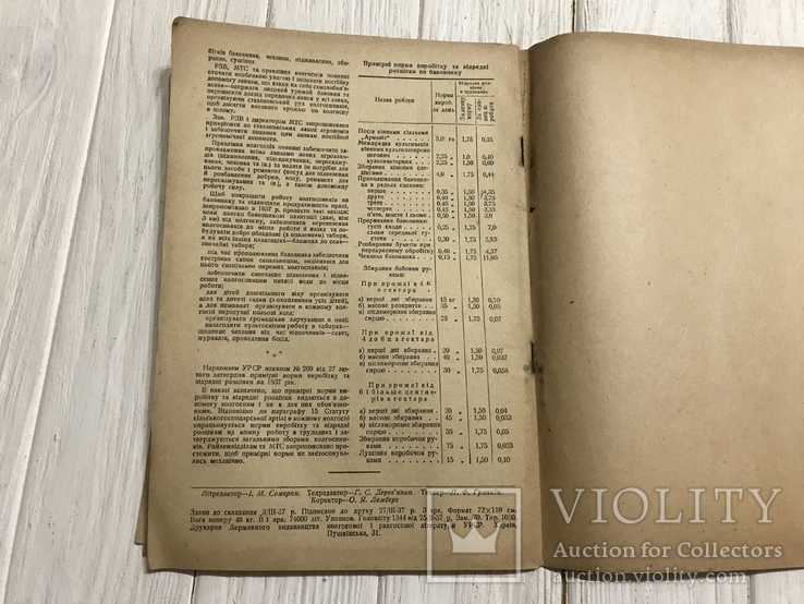 1937 Кулььура кунжуту і арахісу на Дніпропетровщині: Бавовництво, фото №7