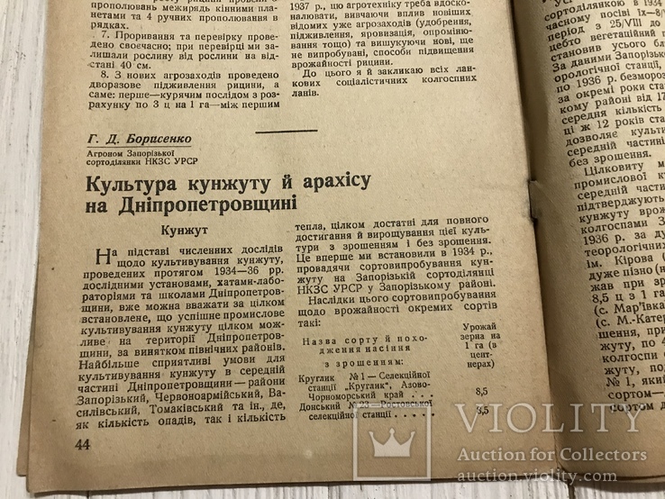 1937 Кулььура кунжуту і арахісу на Дніпропетровщині: Бавовництво, фото №9