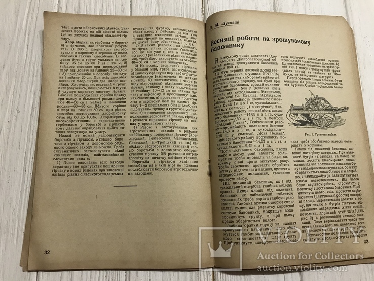 1937 Кулььура кунжуту і арахісу на Дніпропетровщині: Бавовництво, фото №11