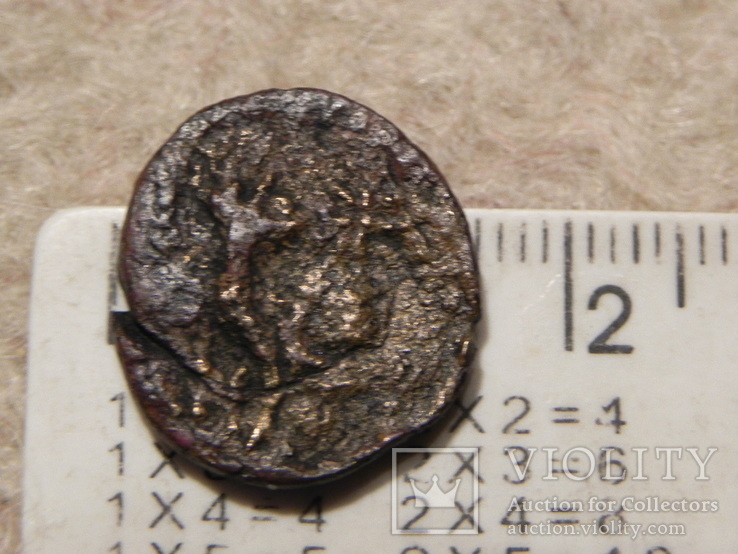 Монета Пантикапея- сатир- рог изобилия и две шапки Диоскуров, фото №5