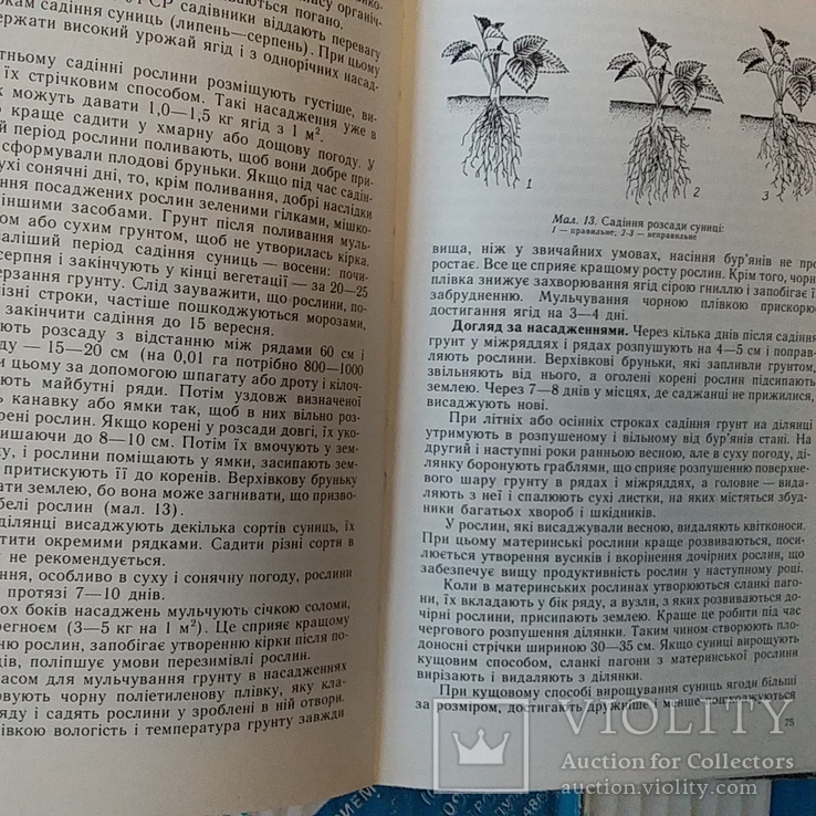 Довідник садівника початківця 1987р., фото №7