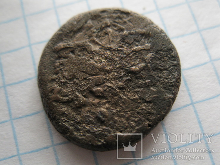 Монета Пантикапея-голва лева вліво  2, фото №3