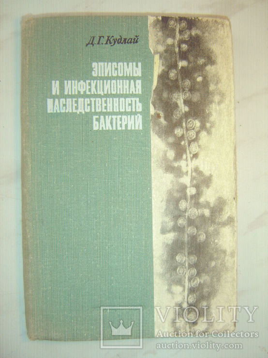 Эписомы и инфекционная наследственность бактерий., фото №2