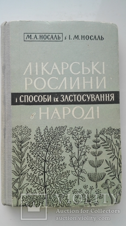 Лікарськи рослини і способи їх застосування в народі