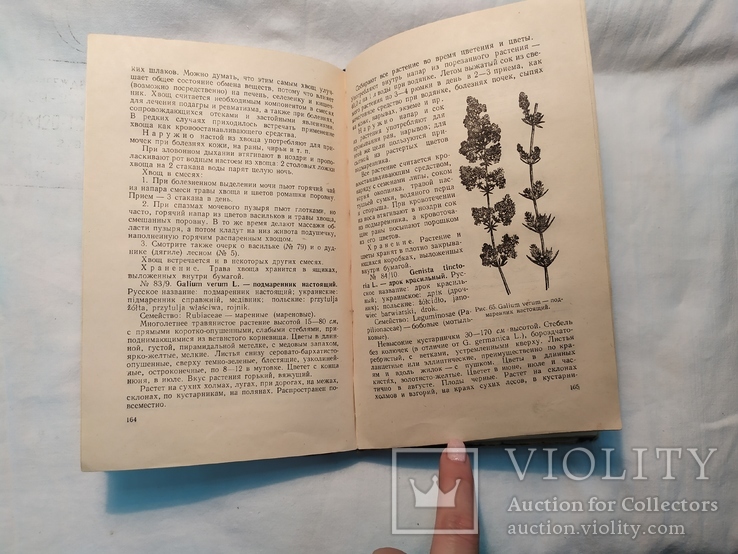 1959 Лекарственные растения и способы их применения в народе, фото №10
