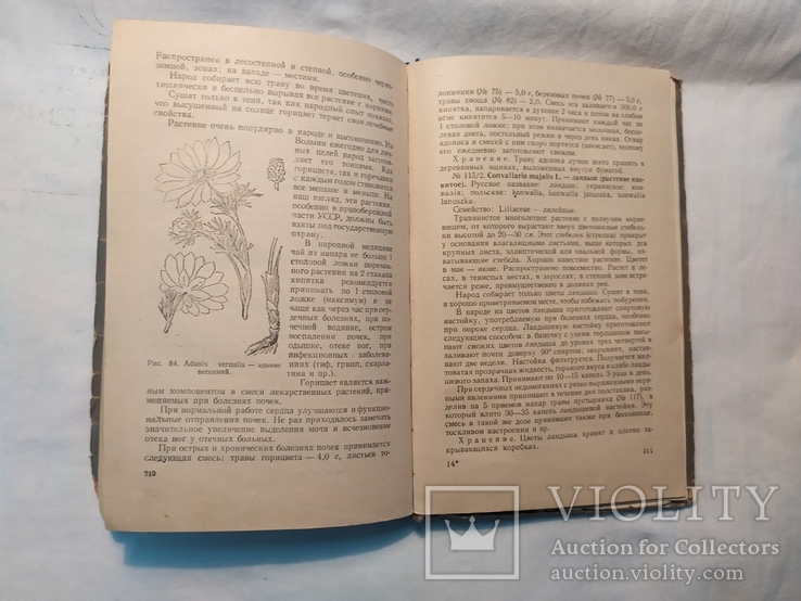 1959 Лекарственные растения и способы их применения в народе, фото №13
