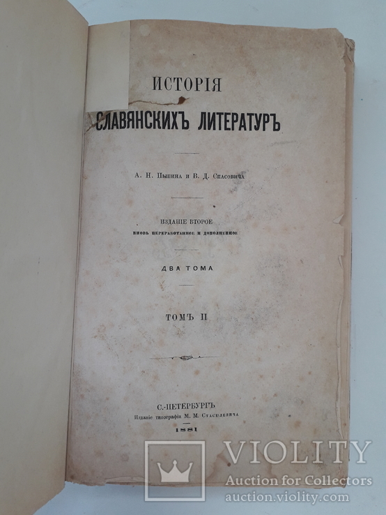 1881 г. История славянских литератур, фото №4