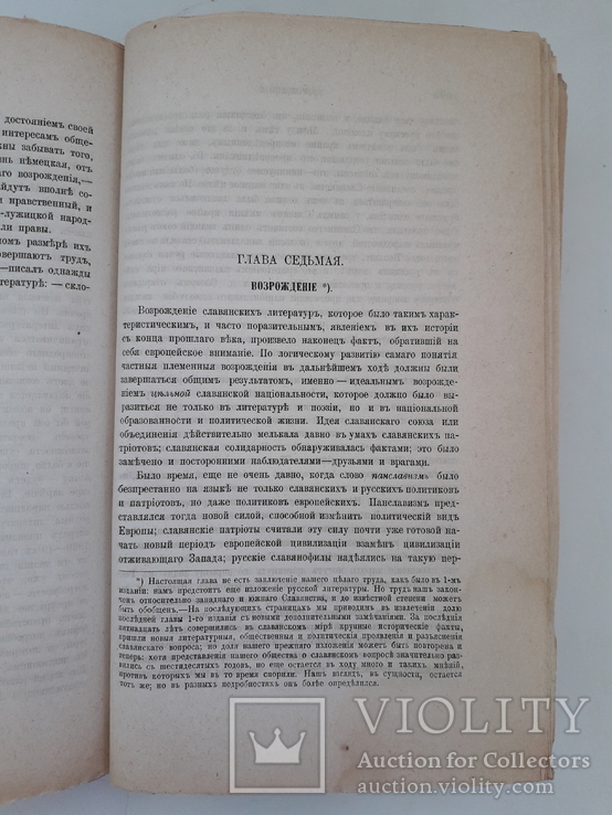 1881 г. История славянских литератур, фото №13