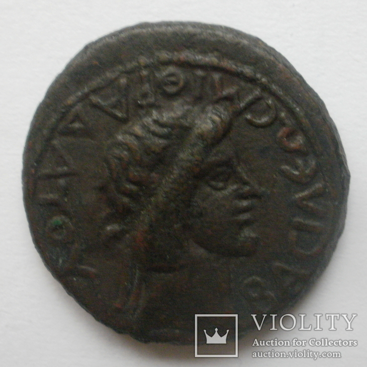Боспорское ц-во, Ассарий Митридата VIII 39-42 гг.н.э., фото №4
