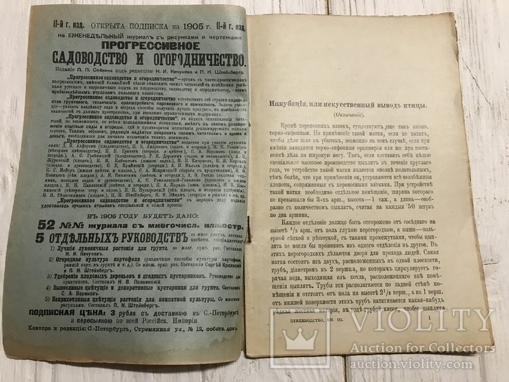 1905 Птицеводство: Инкубация , искусственный вывод цыплят, фото №3