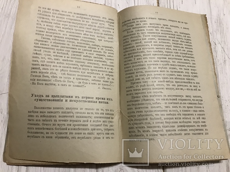 1905 Птицеводство: Инкубация , искусственный вывод цыплят, фото №6