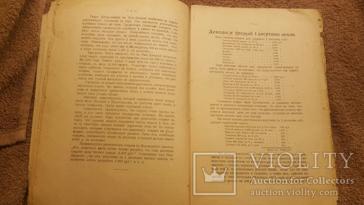 Энциклопедия доходных дел 1917 год, фото №5