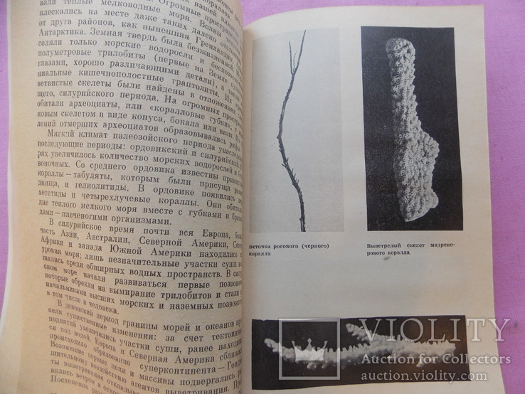 Изд.  1986 г.  "Коралл".  133 стр., фото №8