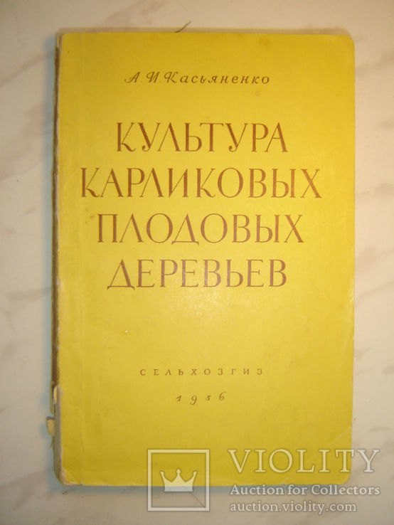 Культура карликовых плодовых деревьев, фото №2