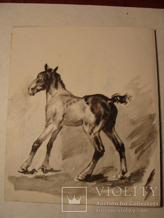 Лошадь конь жеребенок, фото №4