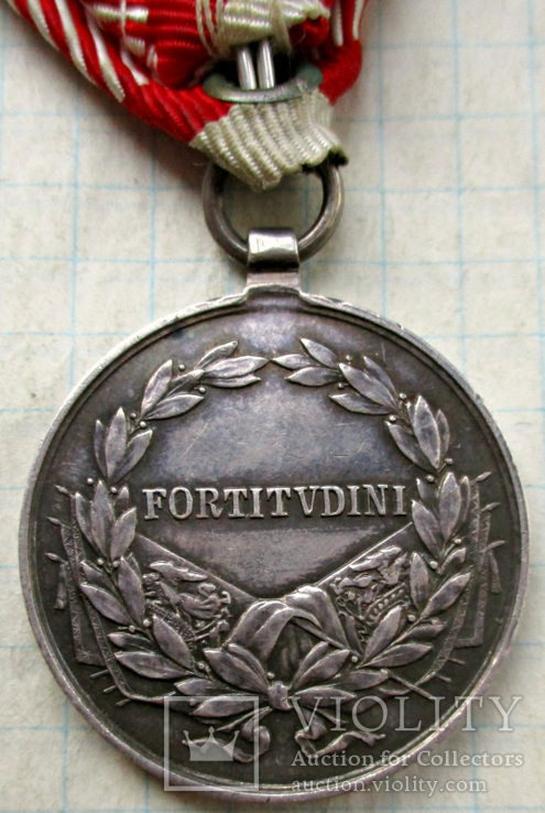 Медаль Fortitvdini, фото №3