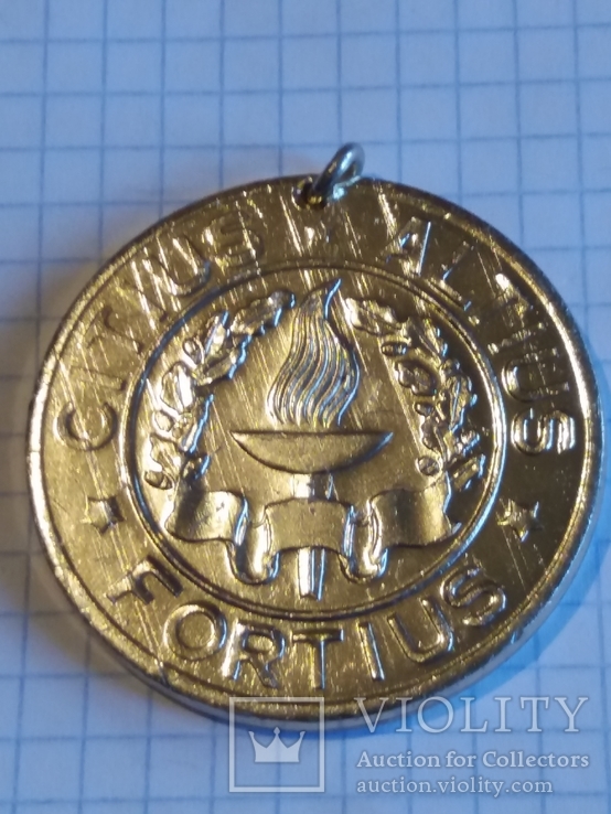 Медаль школьная "Победитель", фото №3