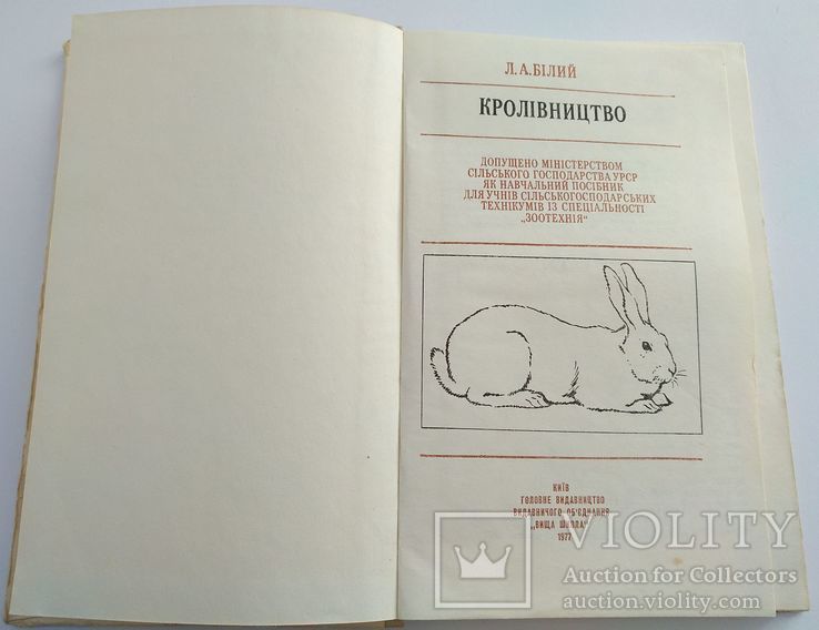Разведение кроликов. Кролівництво. 1977 год, фото №3