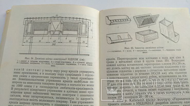 Разведение кроликов. Кролівництво. 1977 год, фото №7