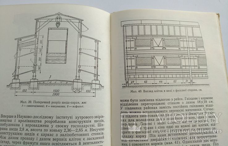 Разведение кроликов. Кролівництво. 1977 год, фото №9