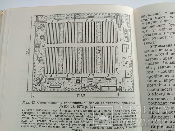 Разведение кроликов. Кролівництво. 1977 год, фото №10