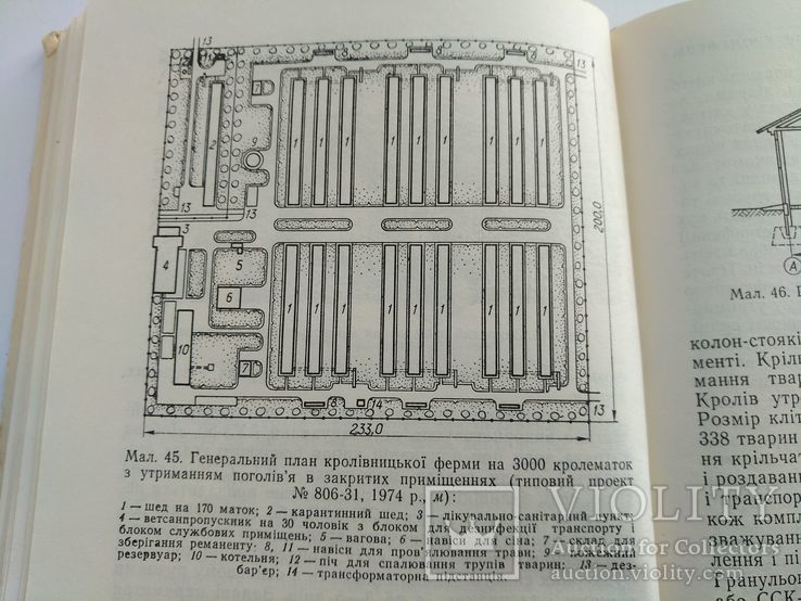 Разведение кроликов. Кролівництво. 1977 год, фото №11