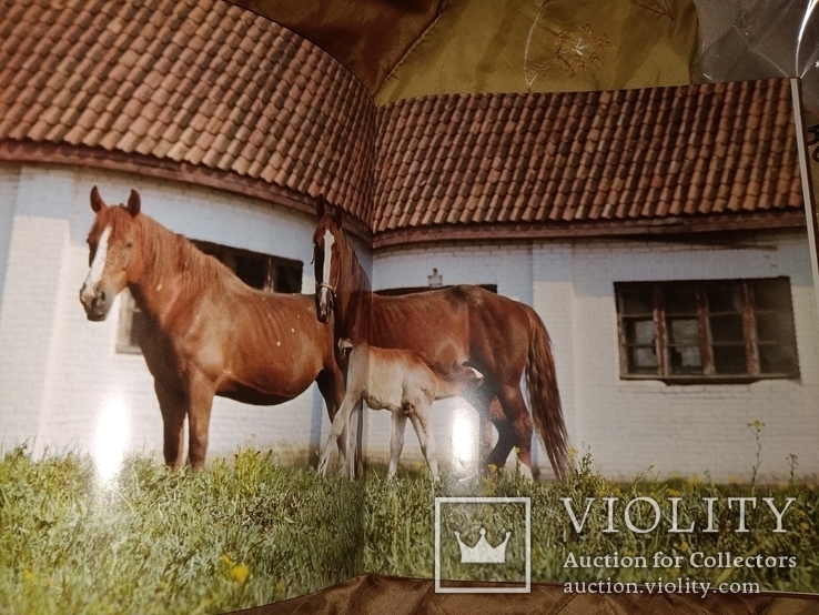 1976 Ветер в гривне.  Лошади Кони громадный фотоальбом, фото №7