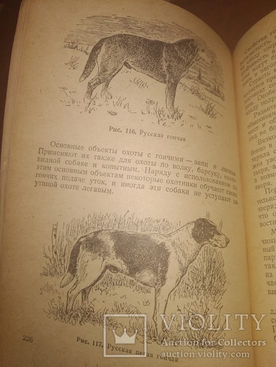1957 Основы спортивной охоты.  Охота, фото №13